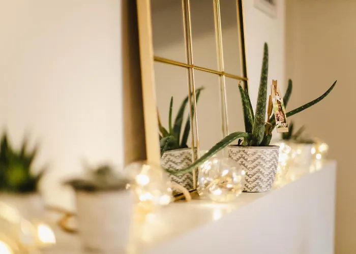 Apartmán La Casa — Joli Nid Douillet Place St-sauveur *